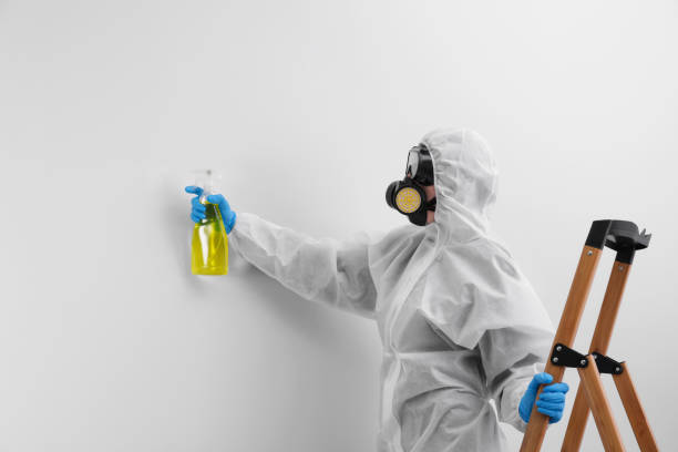 Mold Remediation for Vacation Homes in Englewood Cliffs, NJ