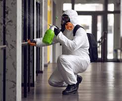 Mold Odor Removal Services in Englewood Cliffs, NJ